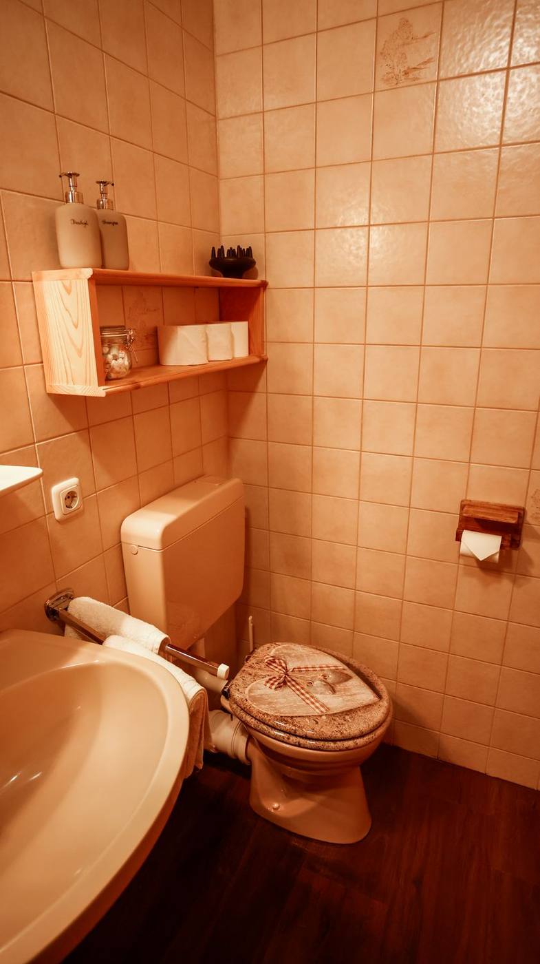 Bad mit WC und Wandregal